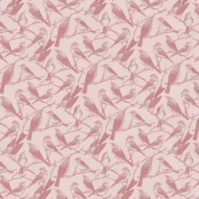 Birds of a Feather - Coral