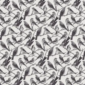 Birds of a Feather - Grey